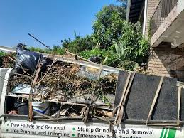 Best Demolition Debris Removal  in Iraan, TX